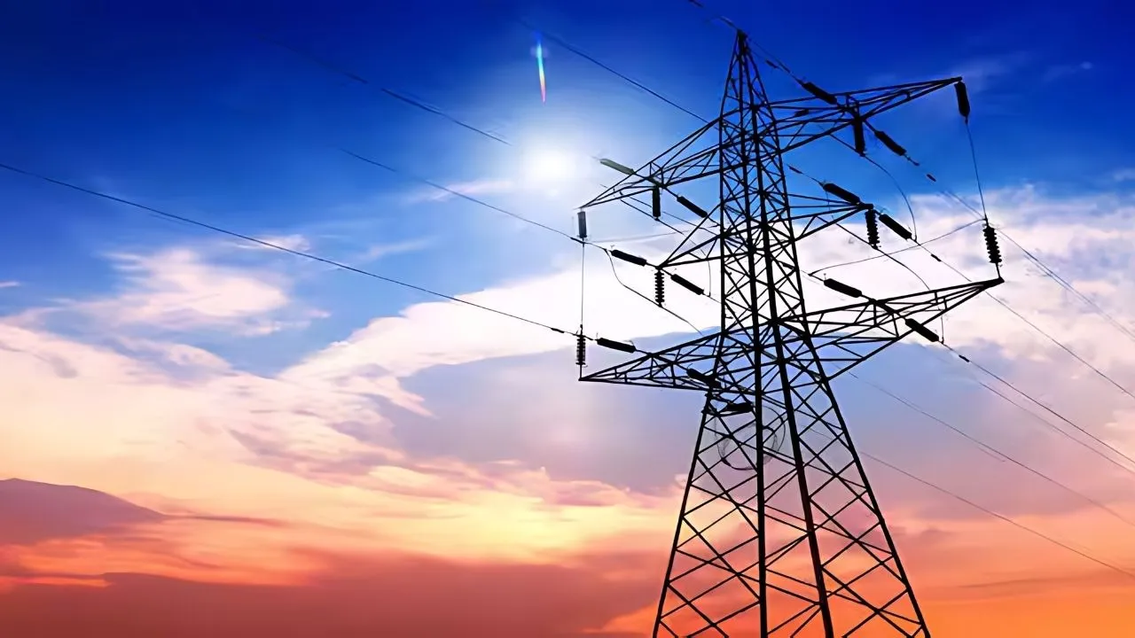 electricity privatisation