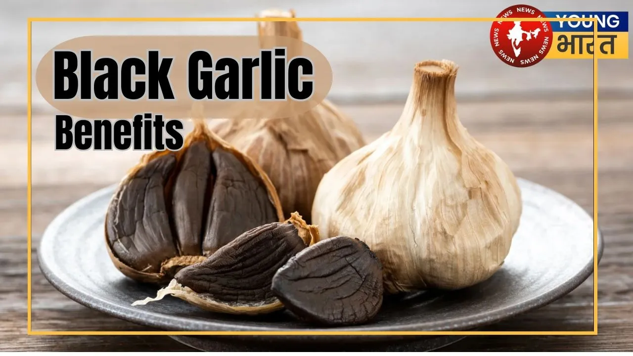 Black Garlic