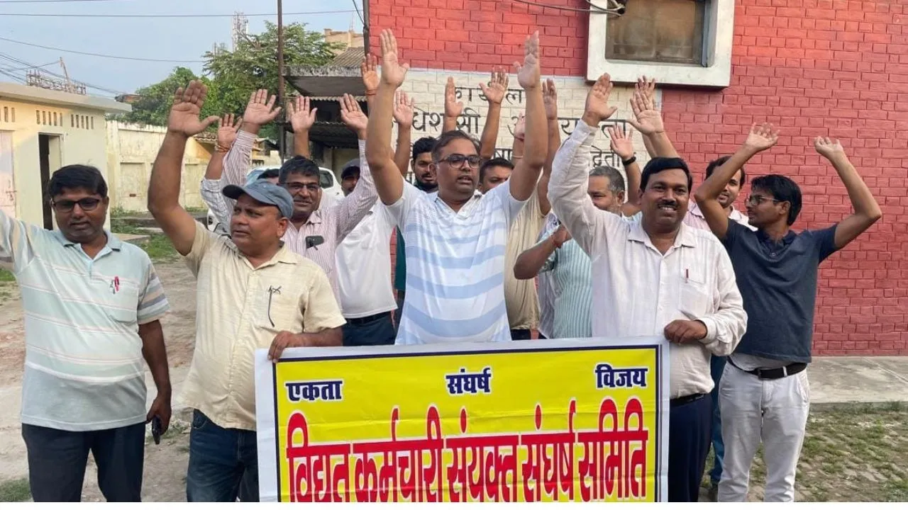 electricity privatisation protest