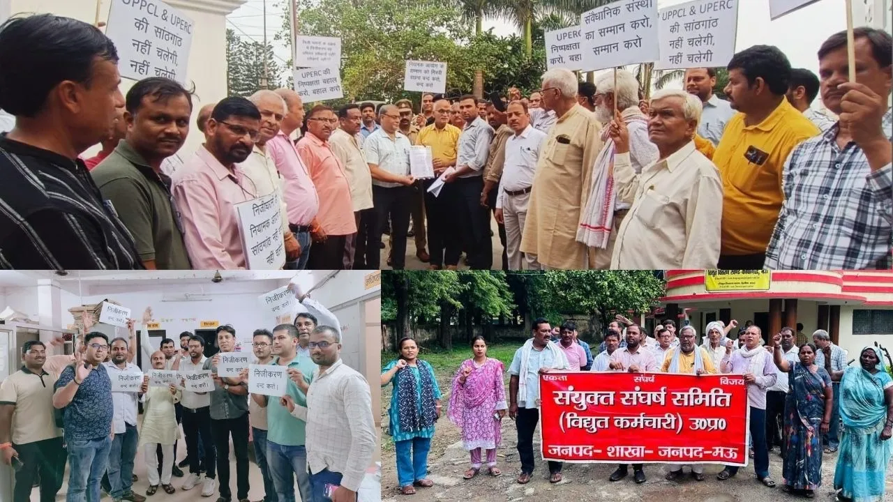protest against electricity privatisation