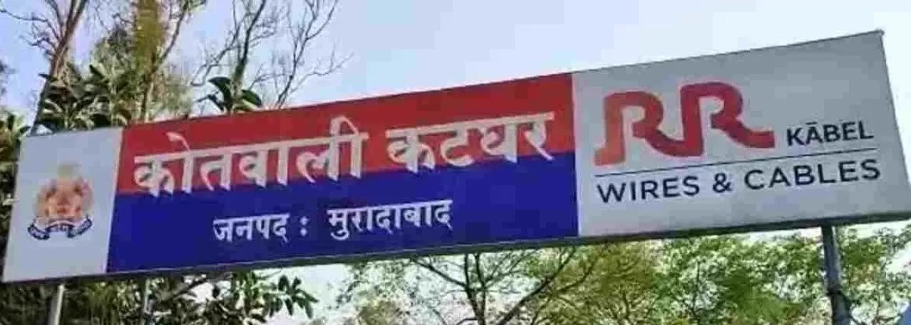 वाईबीएन
