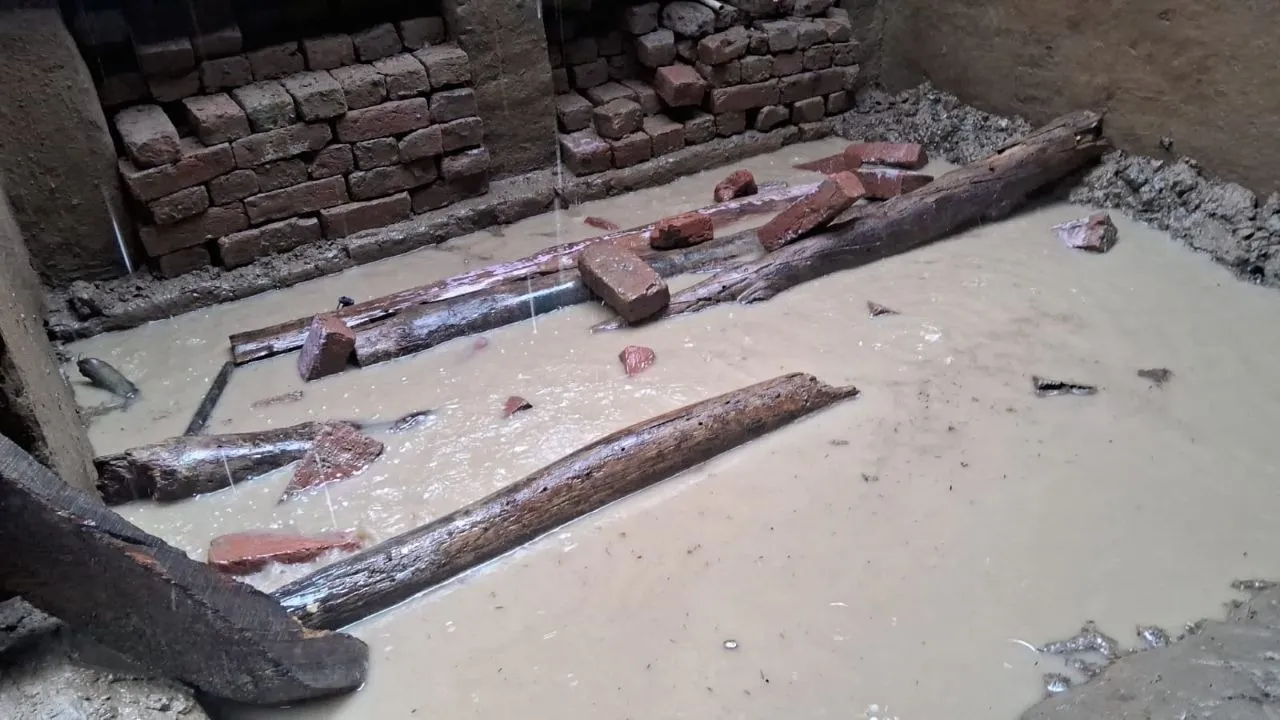 वाईबीएन