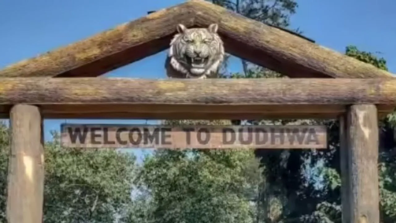 Dudhwa mohatsav 2025