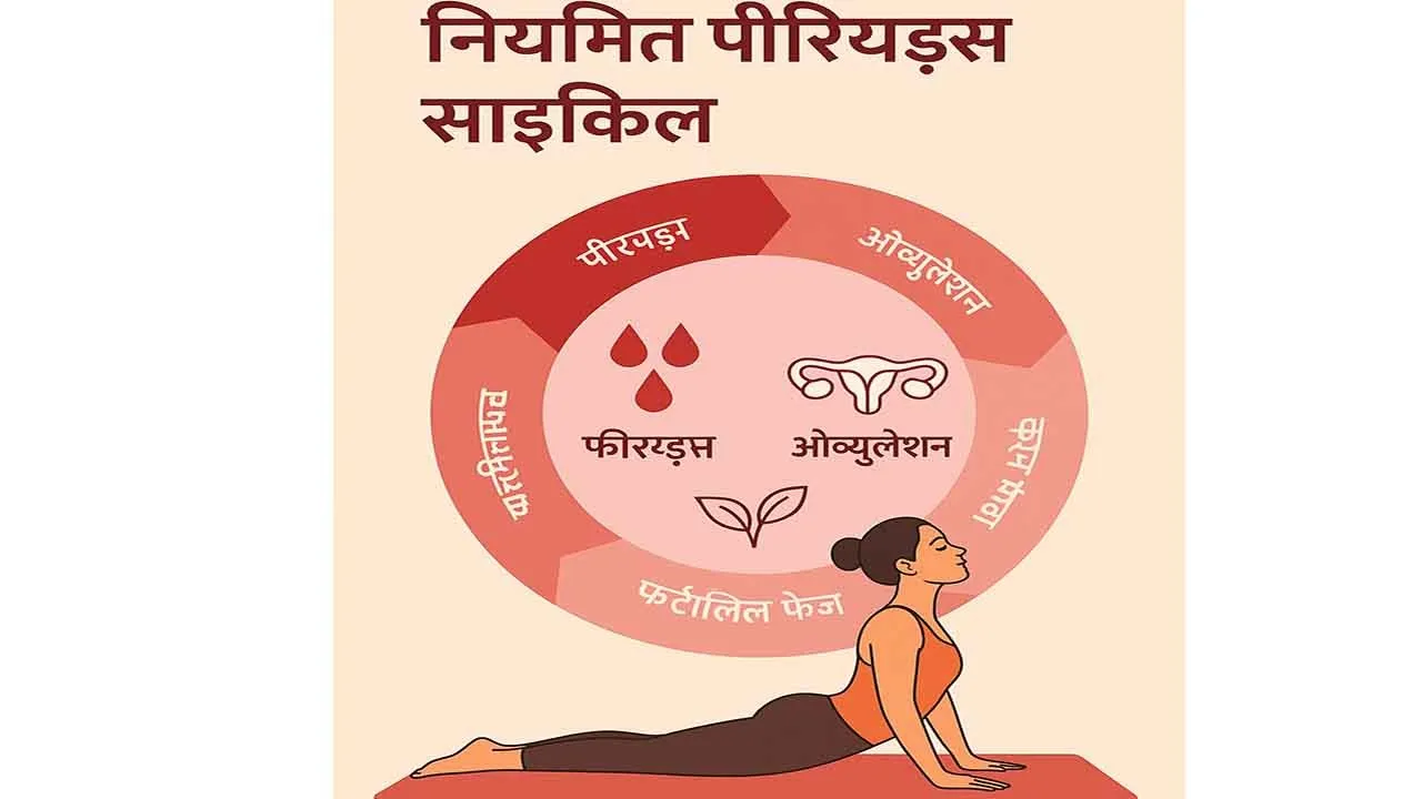 MenstrualCycle