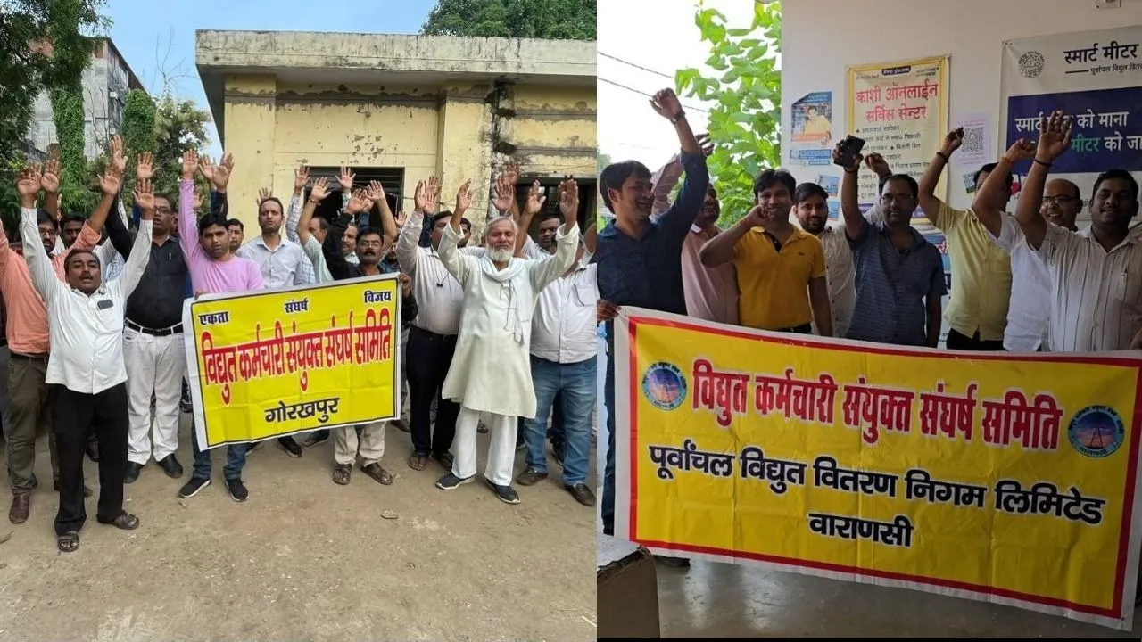 protest against electricity privatisation