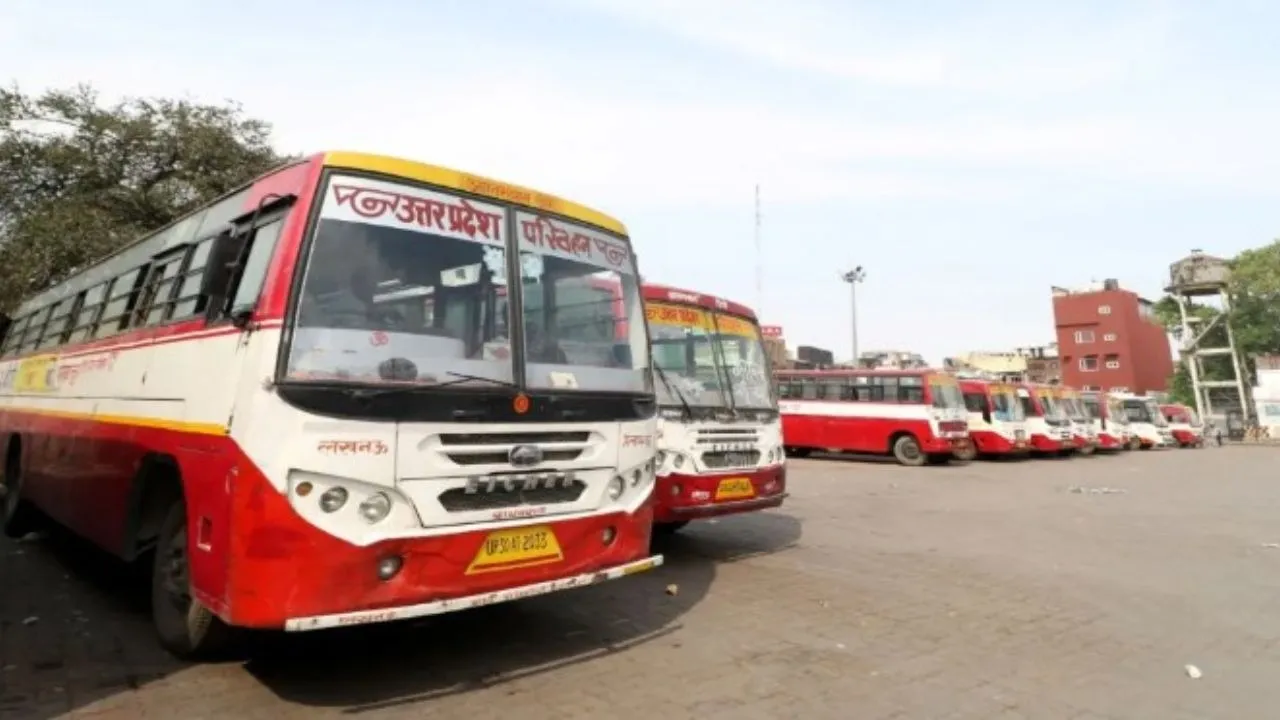 additional roadways buses for pet exam up