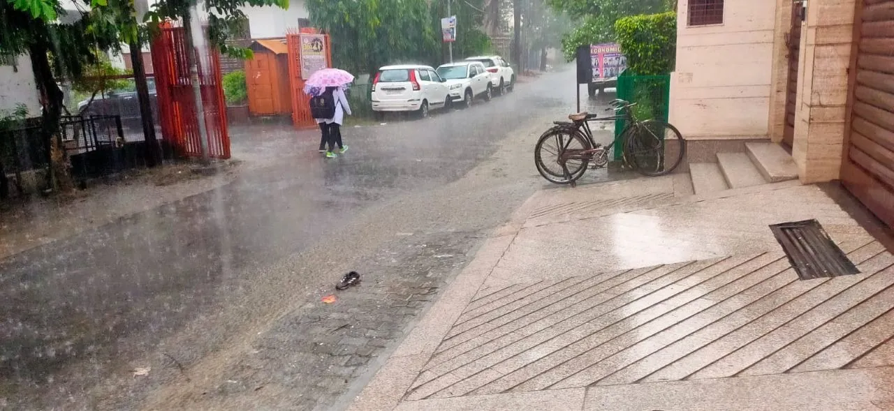 वाईबीएन