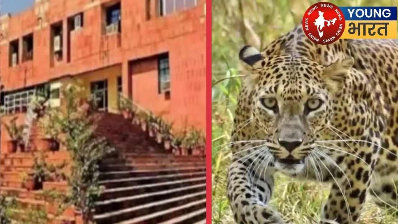 JNU CAMPUS