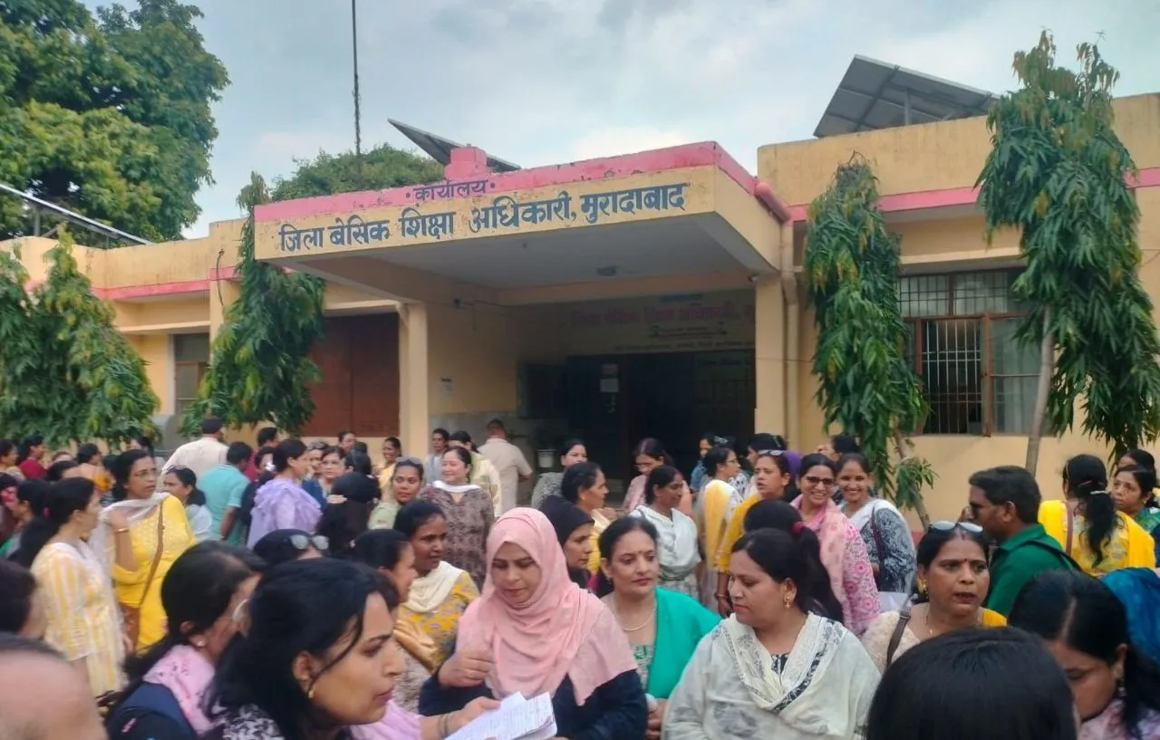 वाईबीएन