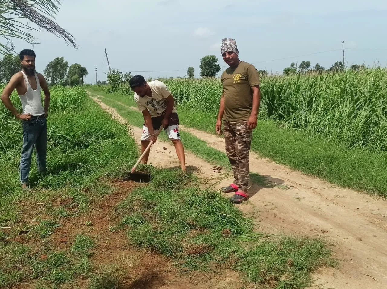 वाईबीएन