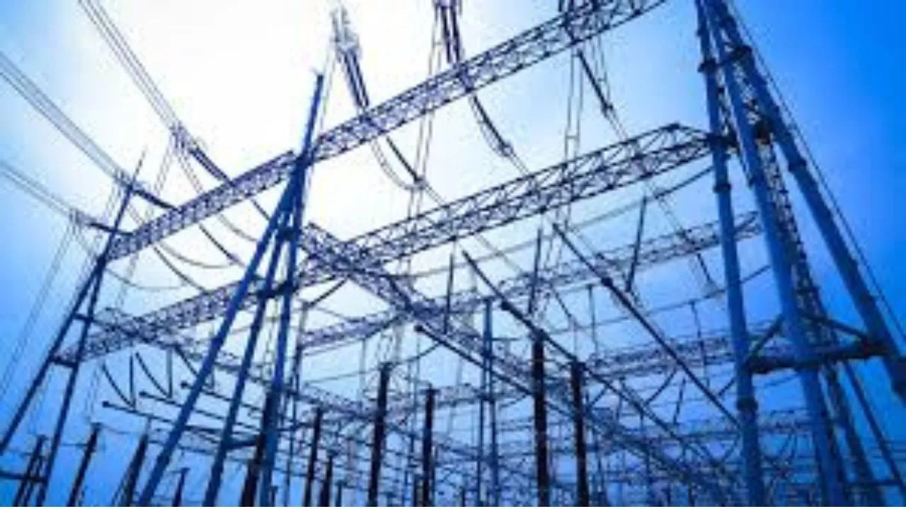 Electricity Privatisation