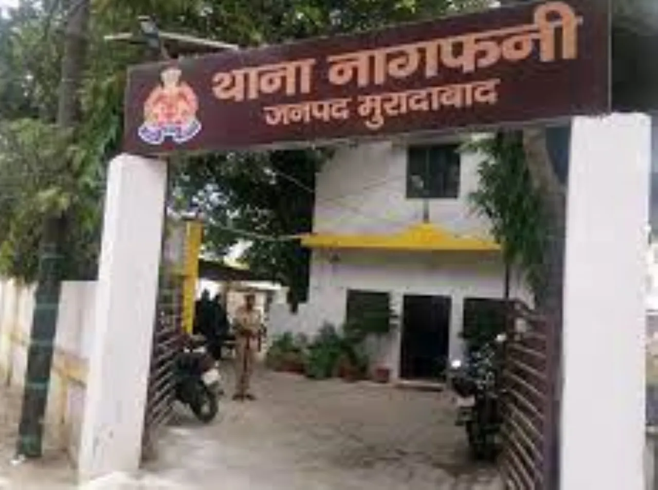 वाईबीएन
