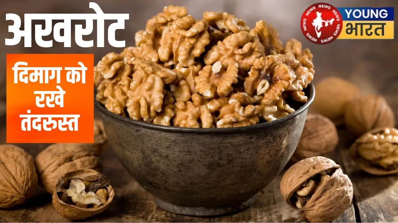 Walnut Benefites
