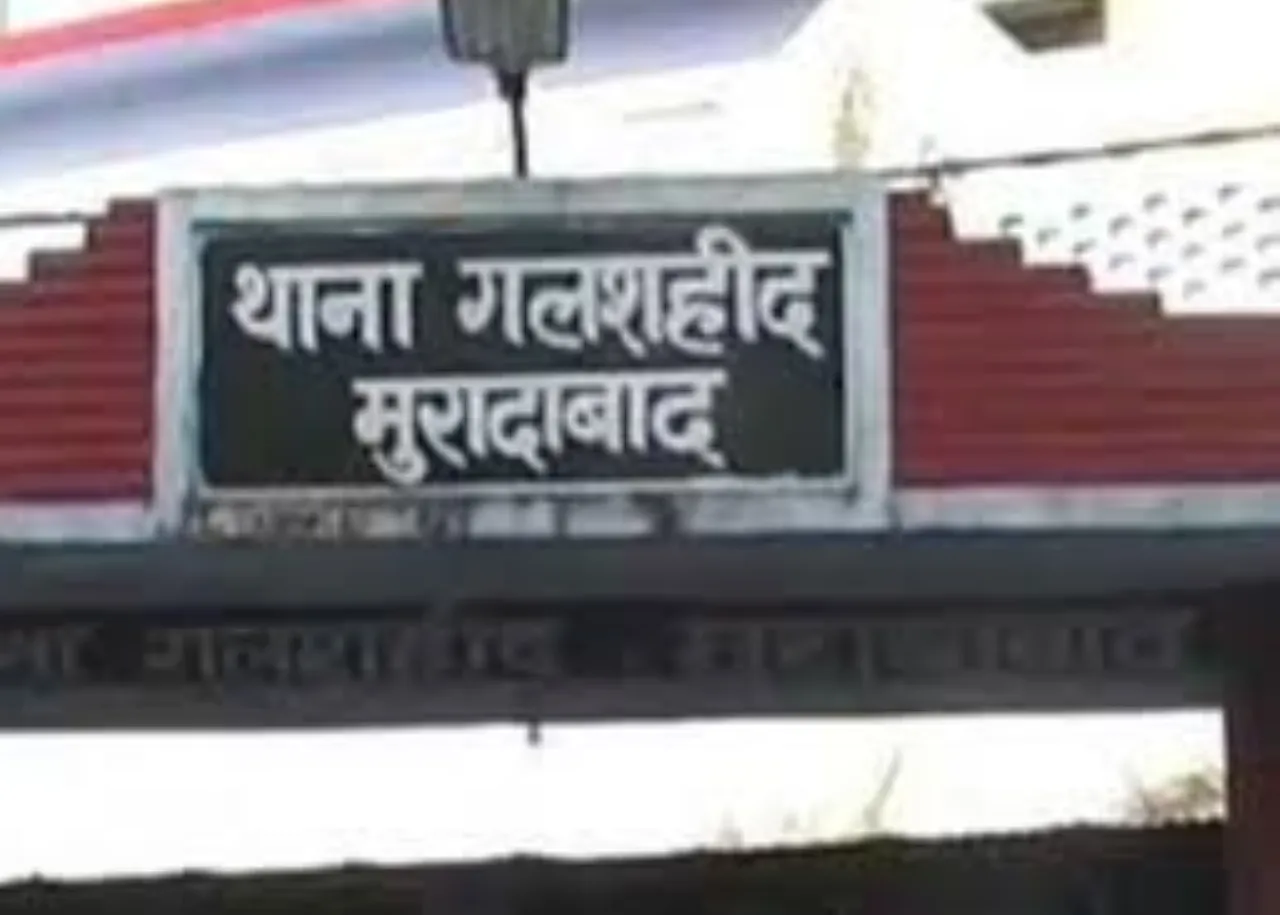 वाईबीएन