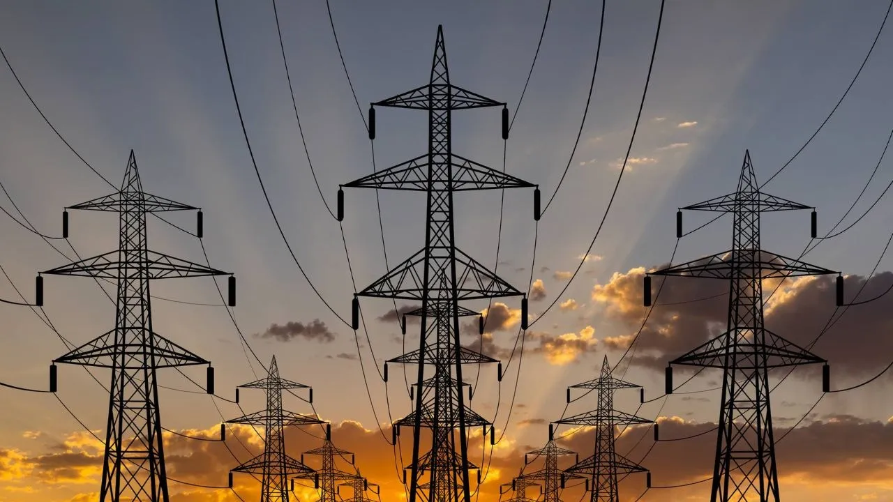 electricity privatisation