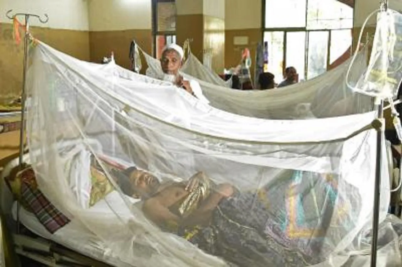 bengladesh Dengue