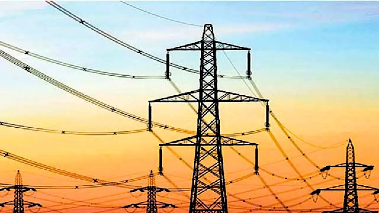 electricity privatisation