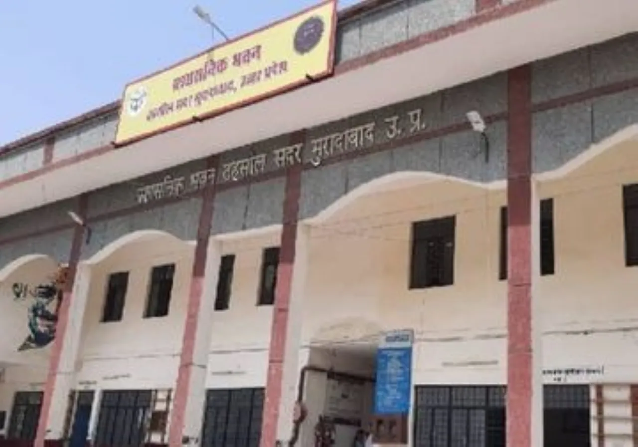 वाईबीएन