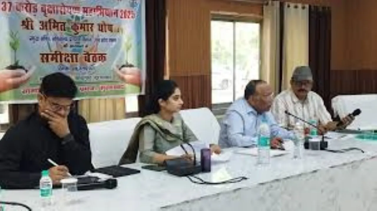 वाईबीएन