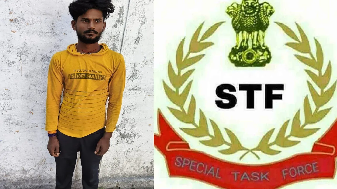 stf