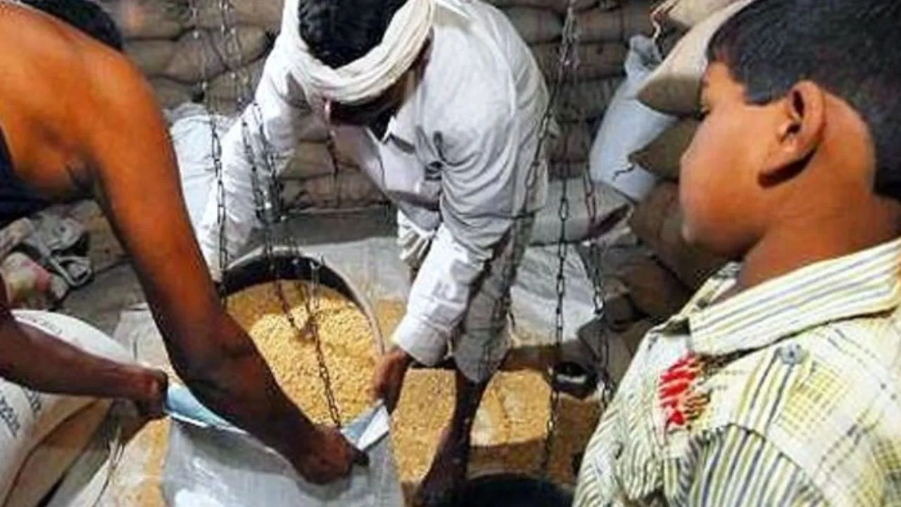free ration