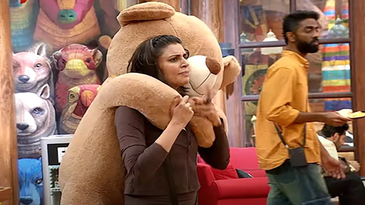 BiggBoss19