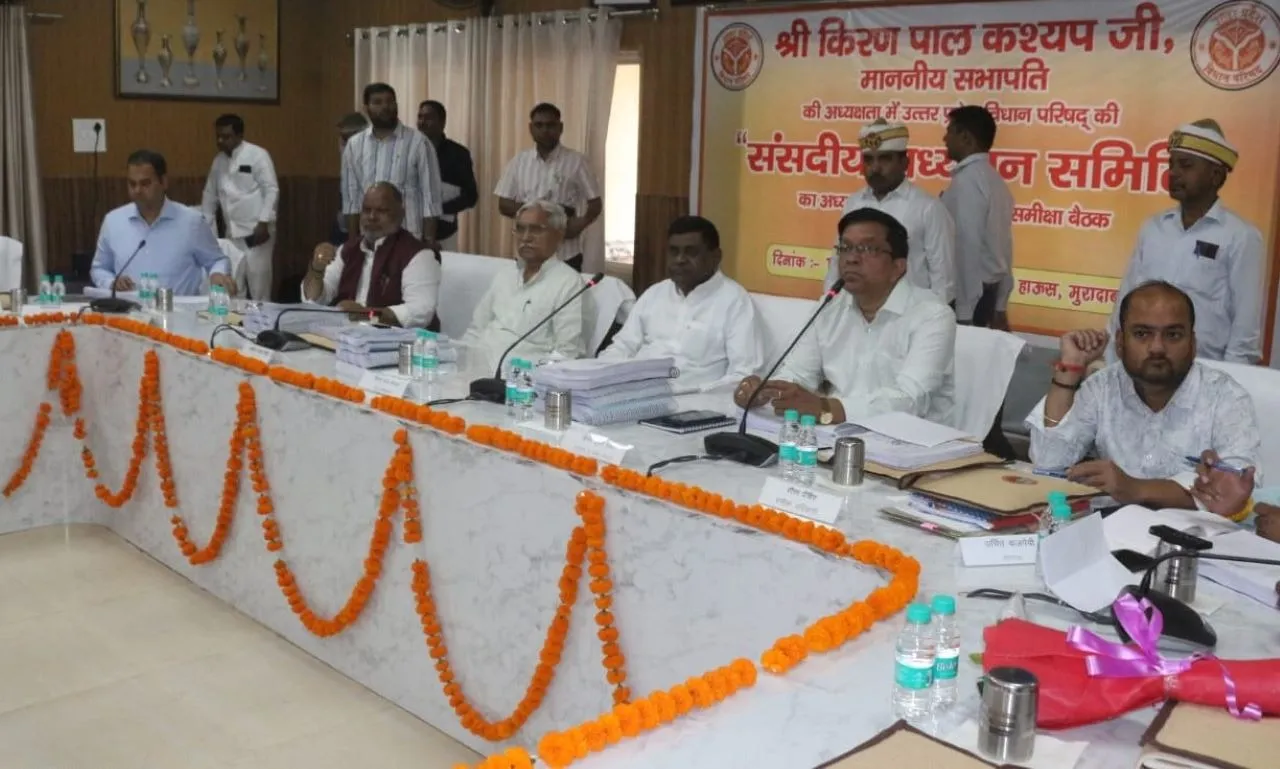 वाईबीएन