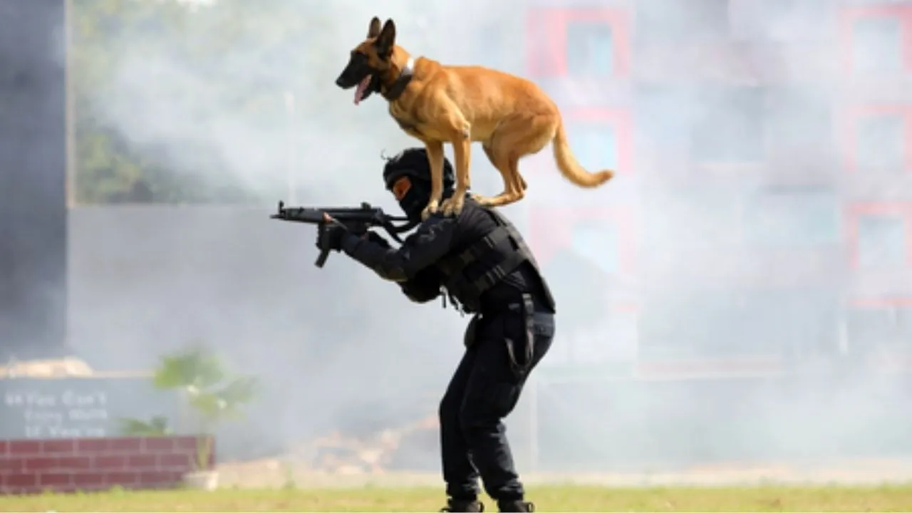 NSG Raising Day