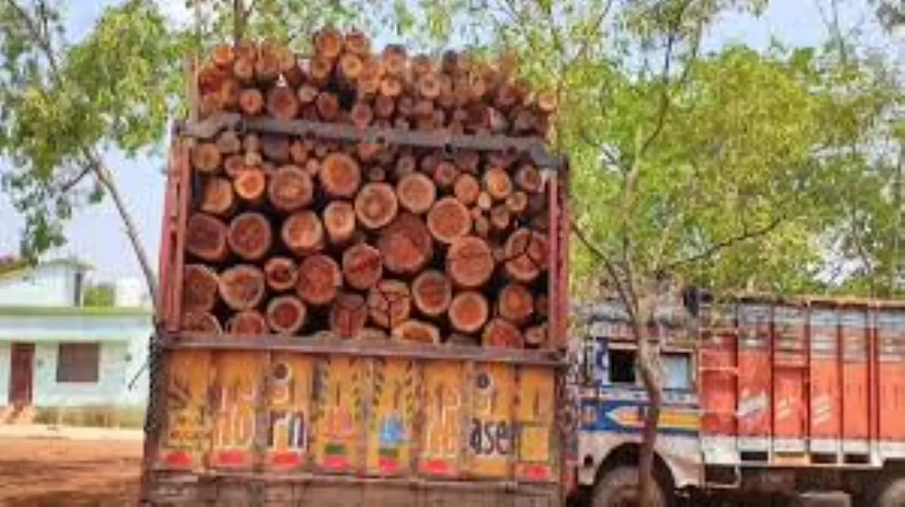 वाईबीएन