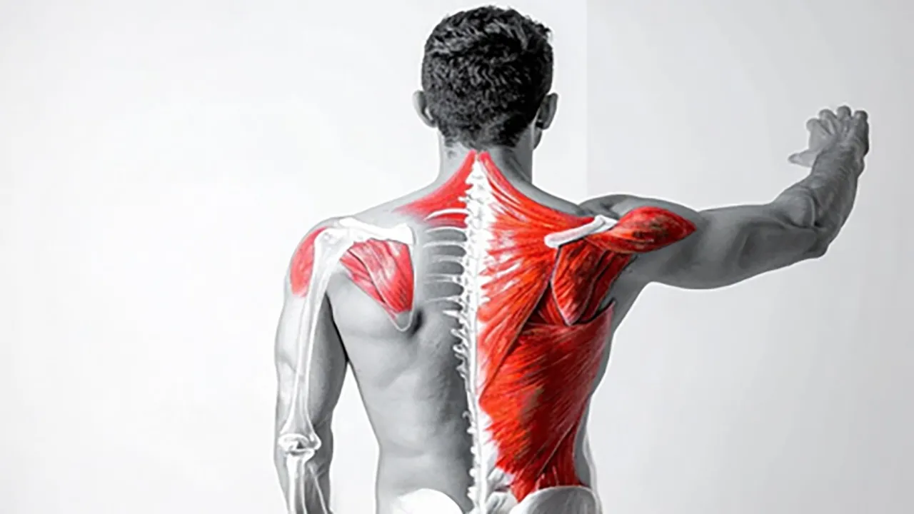 frozenshoulder