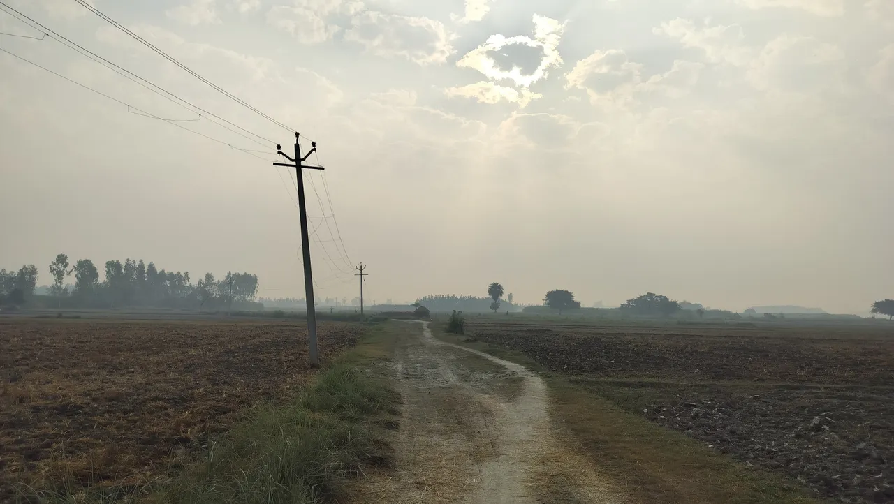 आज के मौसम में धीरे-धीरे हवा और सुबह और शाम हल्की हल्की ठंड देखने को मिलेगी