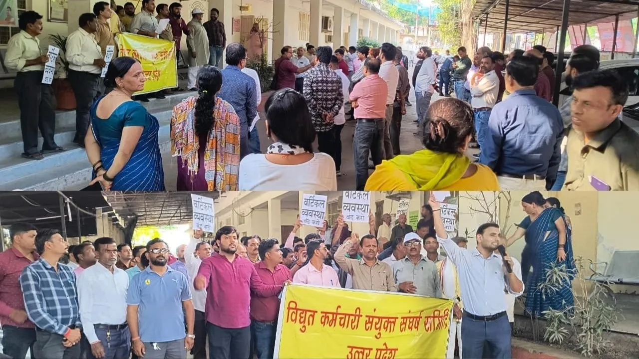 electricity privatisation protest