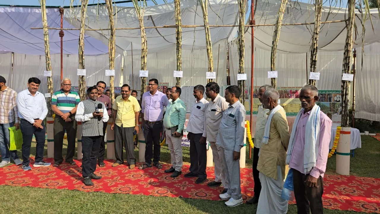 गन्ना शोध परिषद में आयोजित मिठास मेला में किसानों ने यंग भारत न्यूज से विचार भी साझा किए
