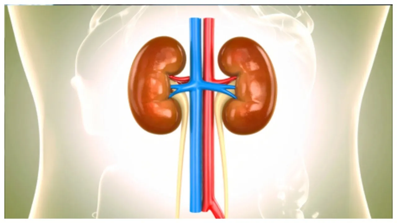 BeFunky-collage - 2025-10-26T161217.207