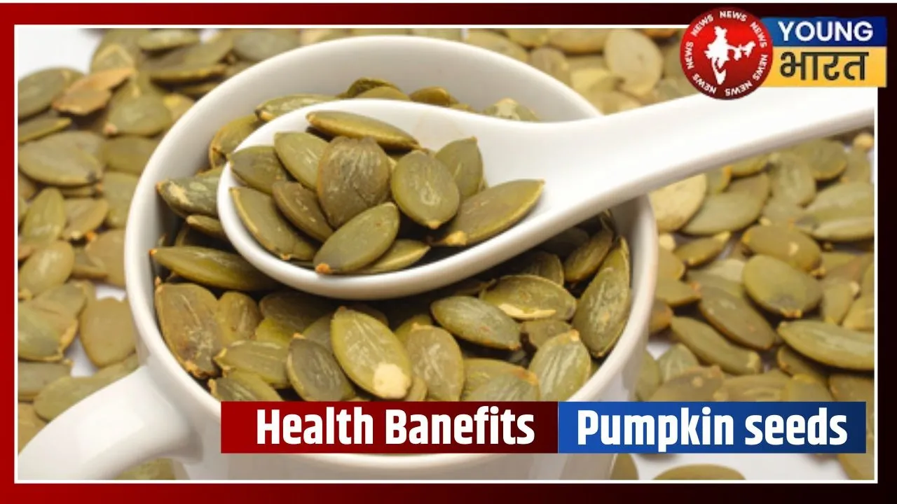 Pumpkin seeds