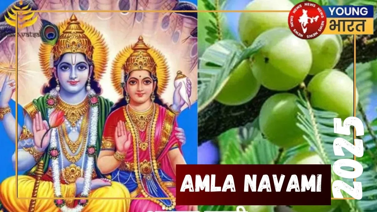 Amla Navami 2025