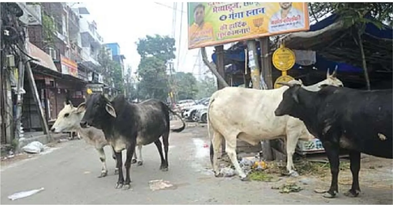 Screenshot_2025_1028_145427