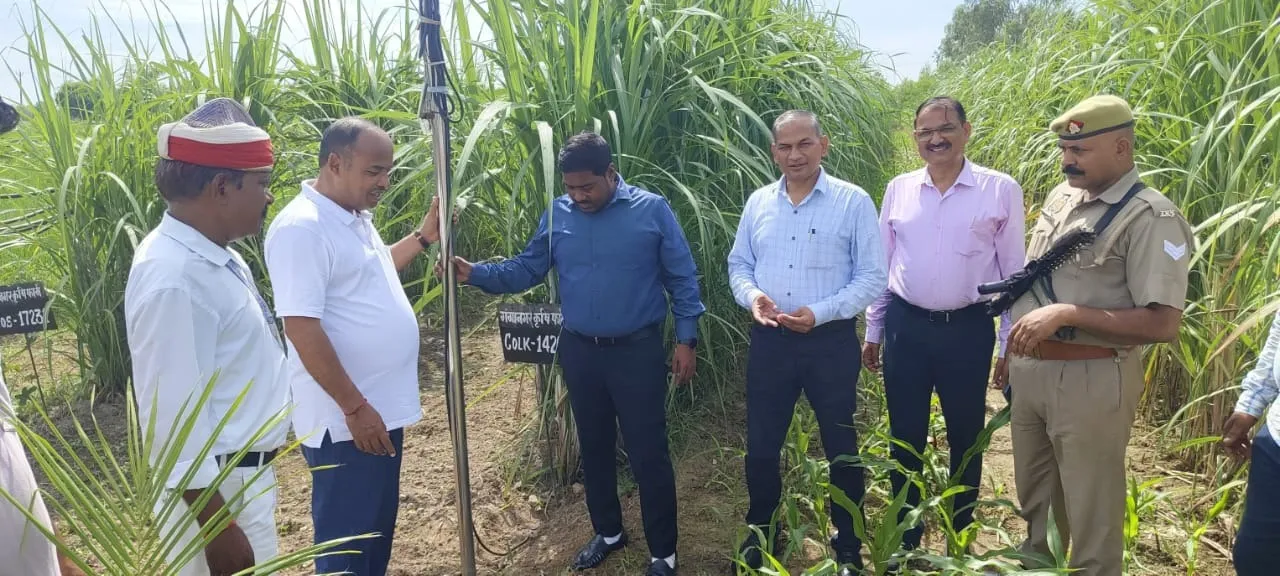 प्रगतिशील कृषक कौशल मिश्रा के पफार्म में गन्ना खेती का निरीक्षण करते एडीएम व डीसीओ