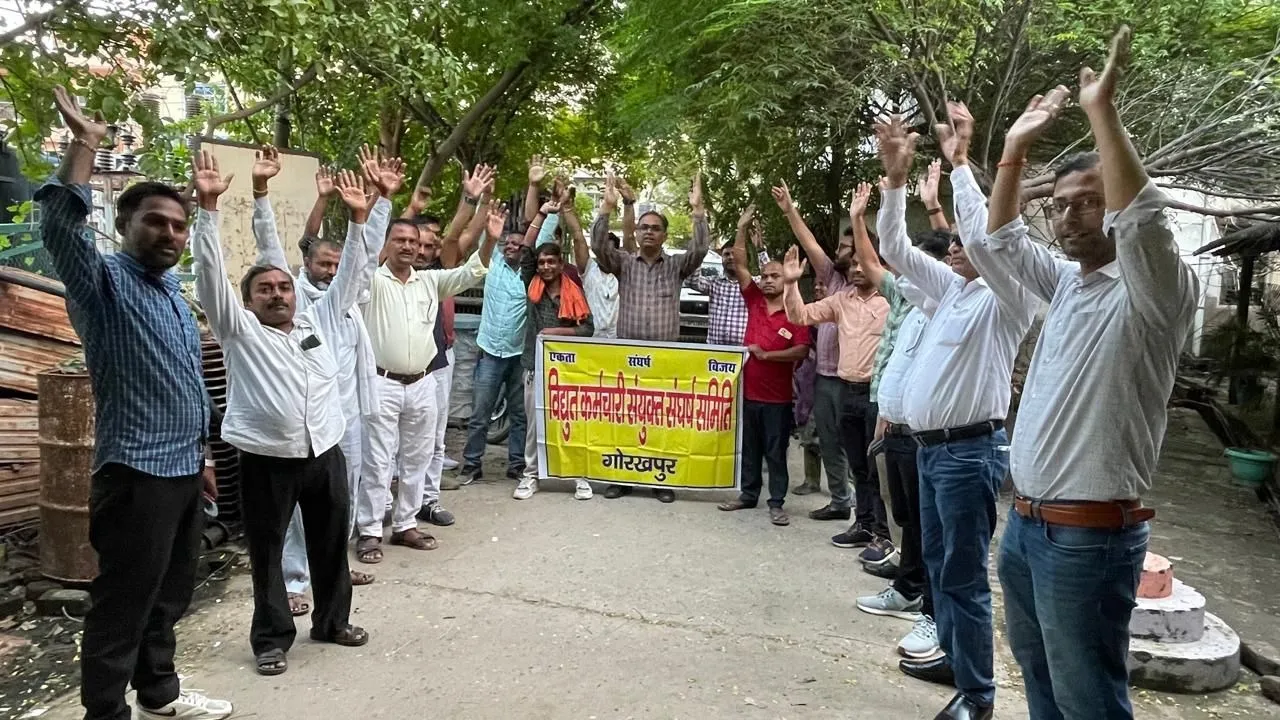 protest against electricity privatisation