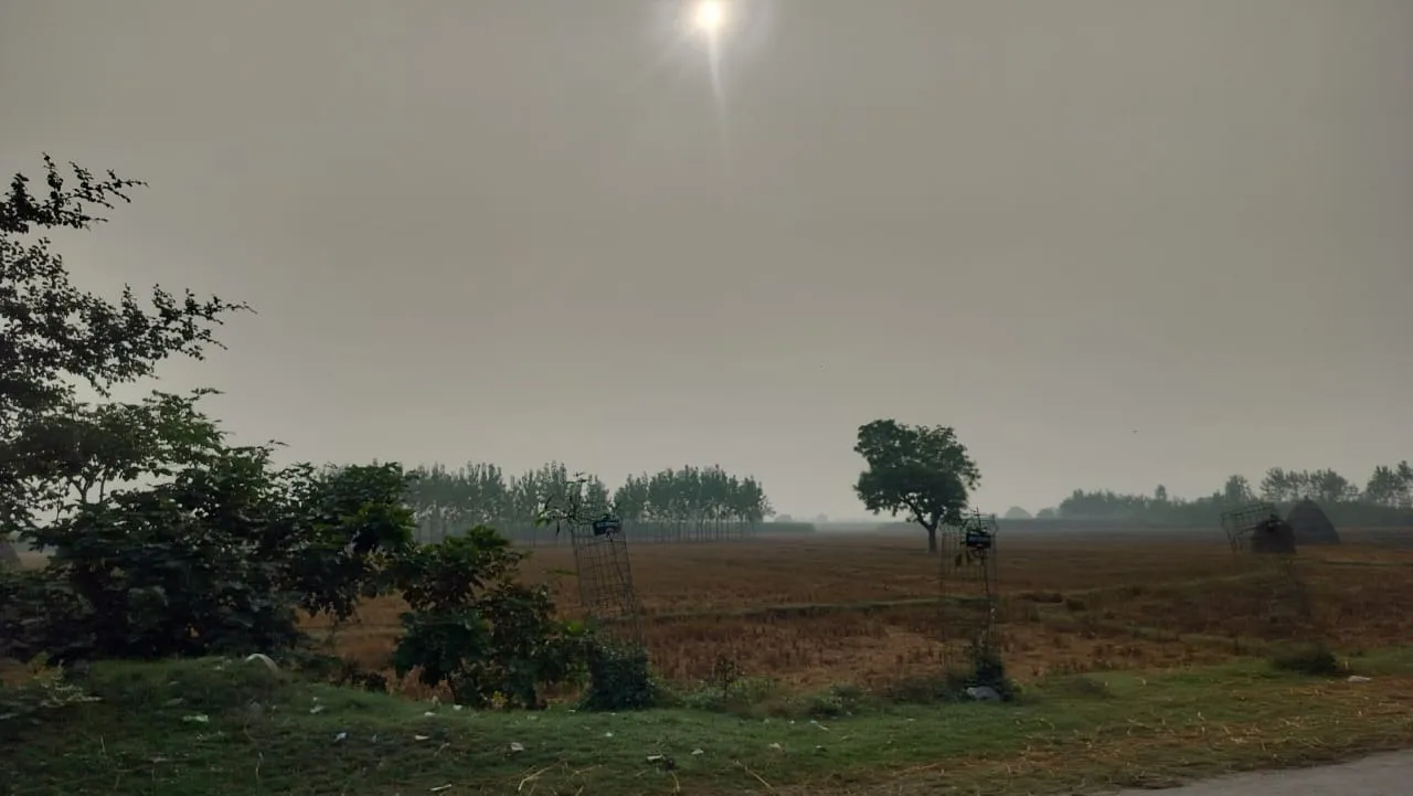 शाहजहांपुर मौसम अपडेट: सुबह धुंधलका, दिन में निकलेगी धूप, बढ़ेगी ठंड का एहसास