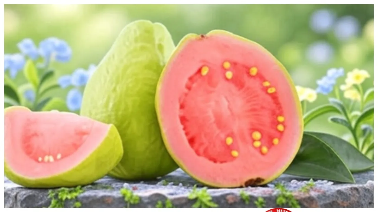 BeFunky-collage - 2025-11-02T100417.846