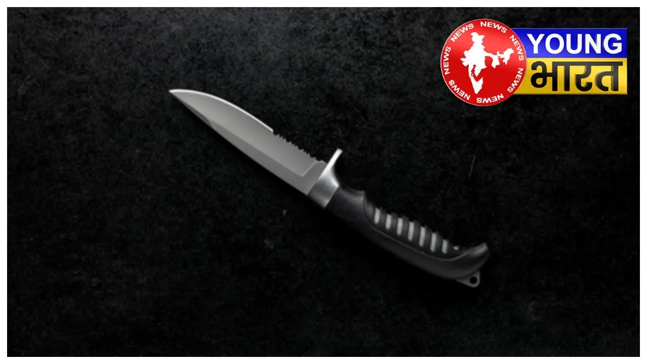 BeFunky-collage - 2025-11-02T125846.158