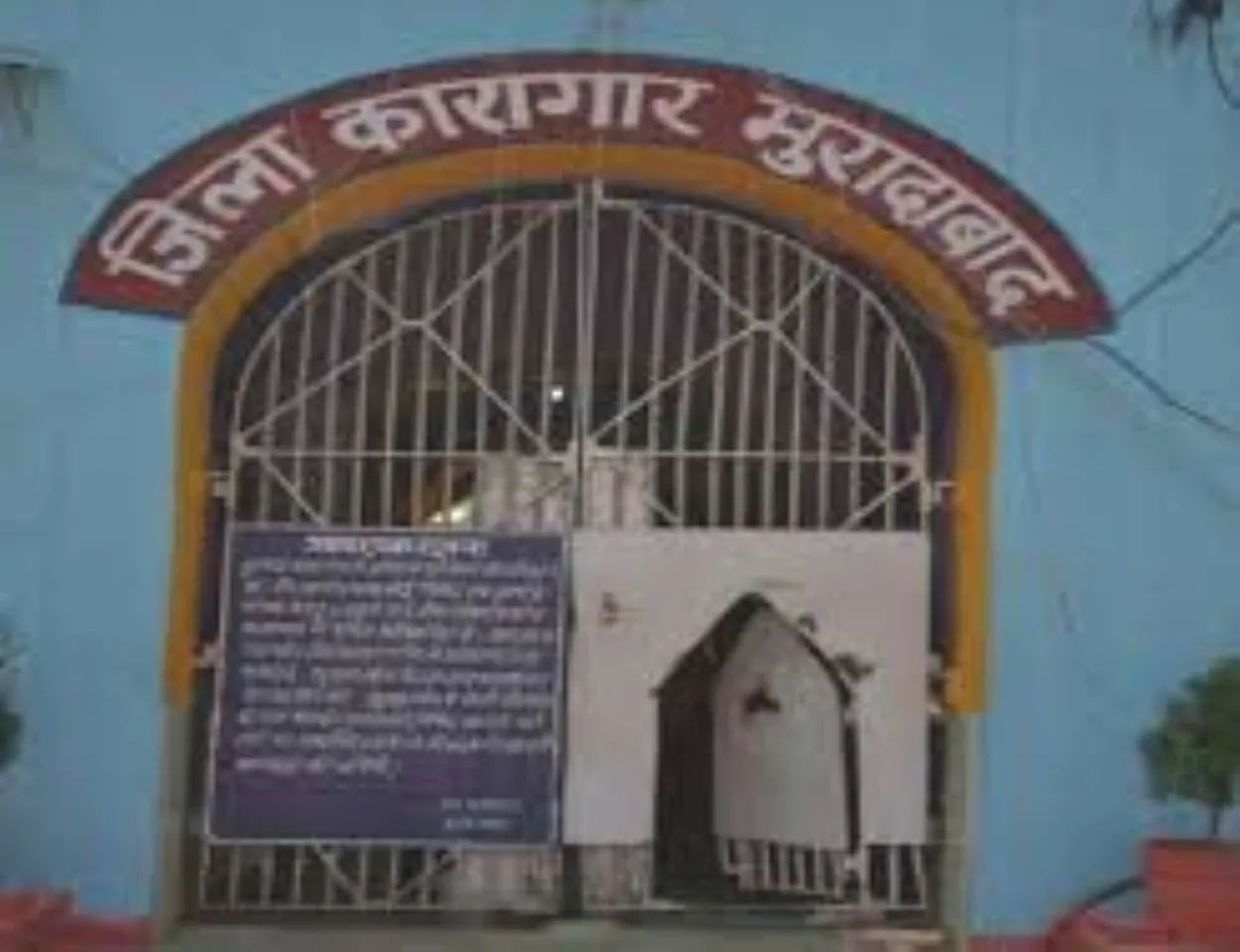 वाईबीएन