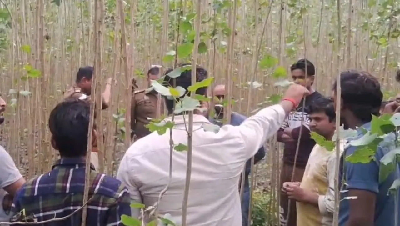 वाईबीएन