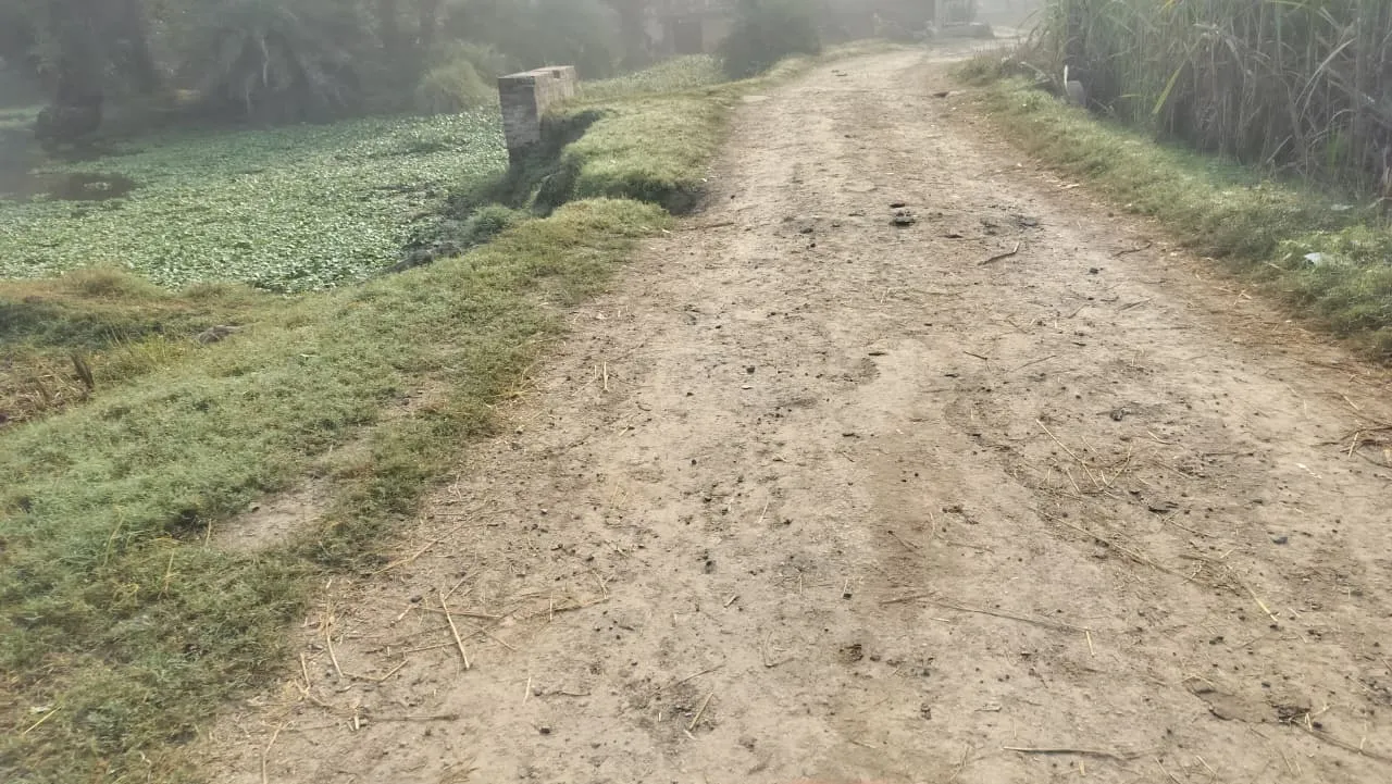 सड़क मरम्मत की बाट जोह रहा सिसौआ-तुर्की खेड़ा मार्ग