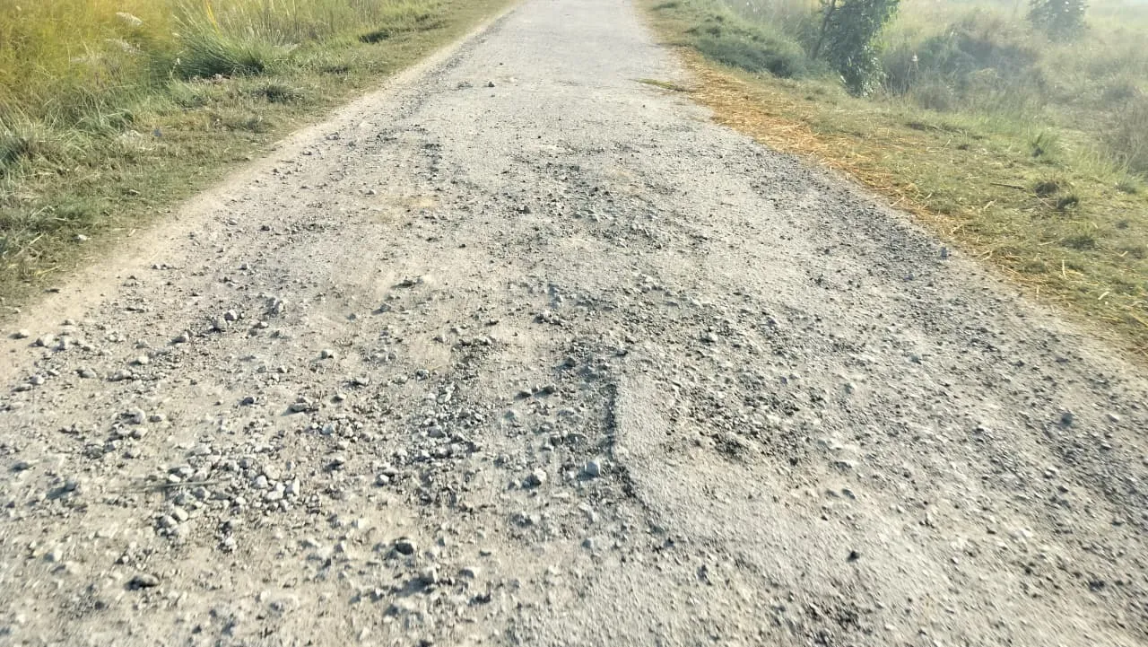 देखिए आप इस चित्र में क्या हालत है टूटे रोड की सहजन वन को जाने वाला रोड