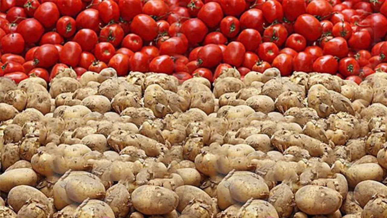 new potato and tomato prices hike