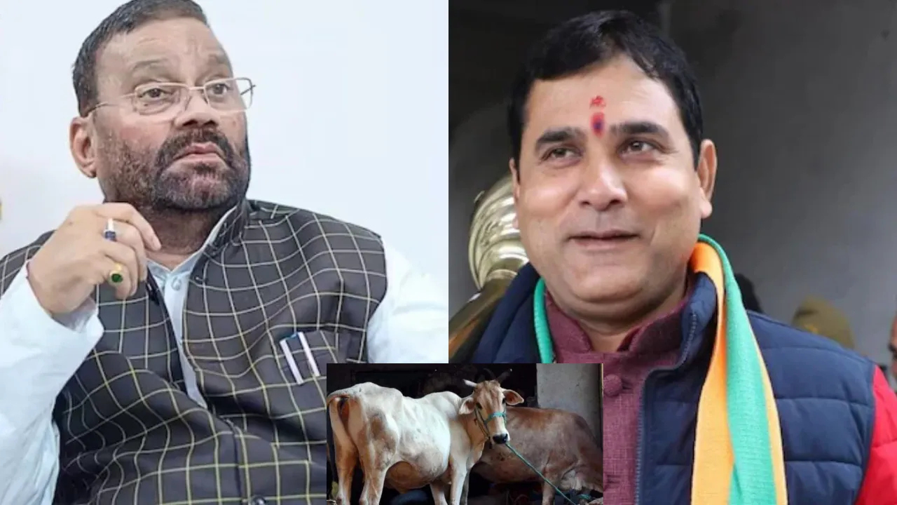 BJP-विधायक