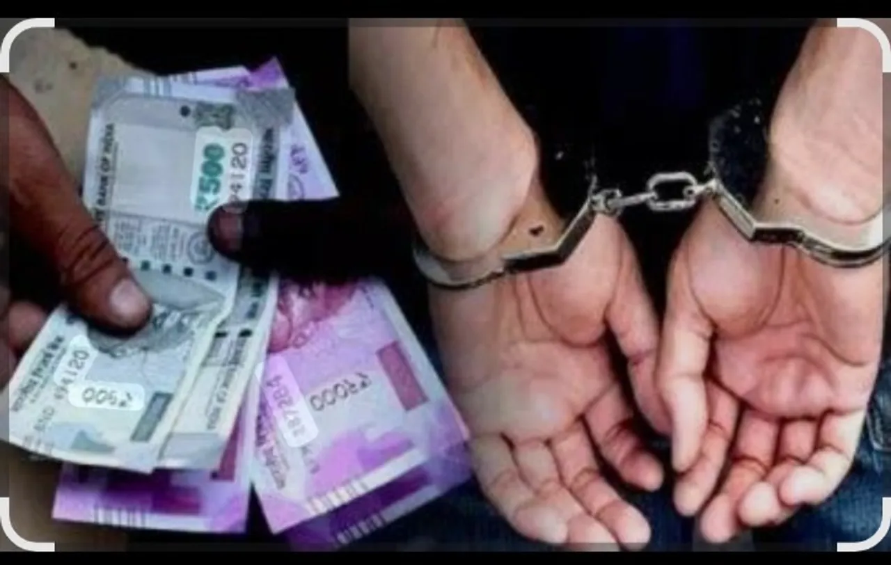 Screenshot_2025_1121_134739