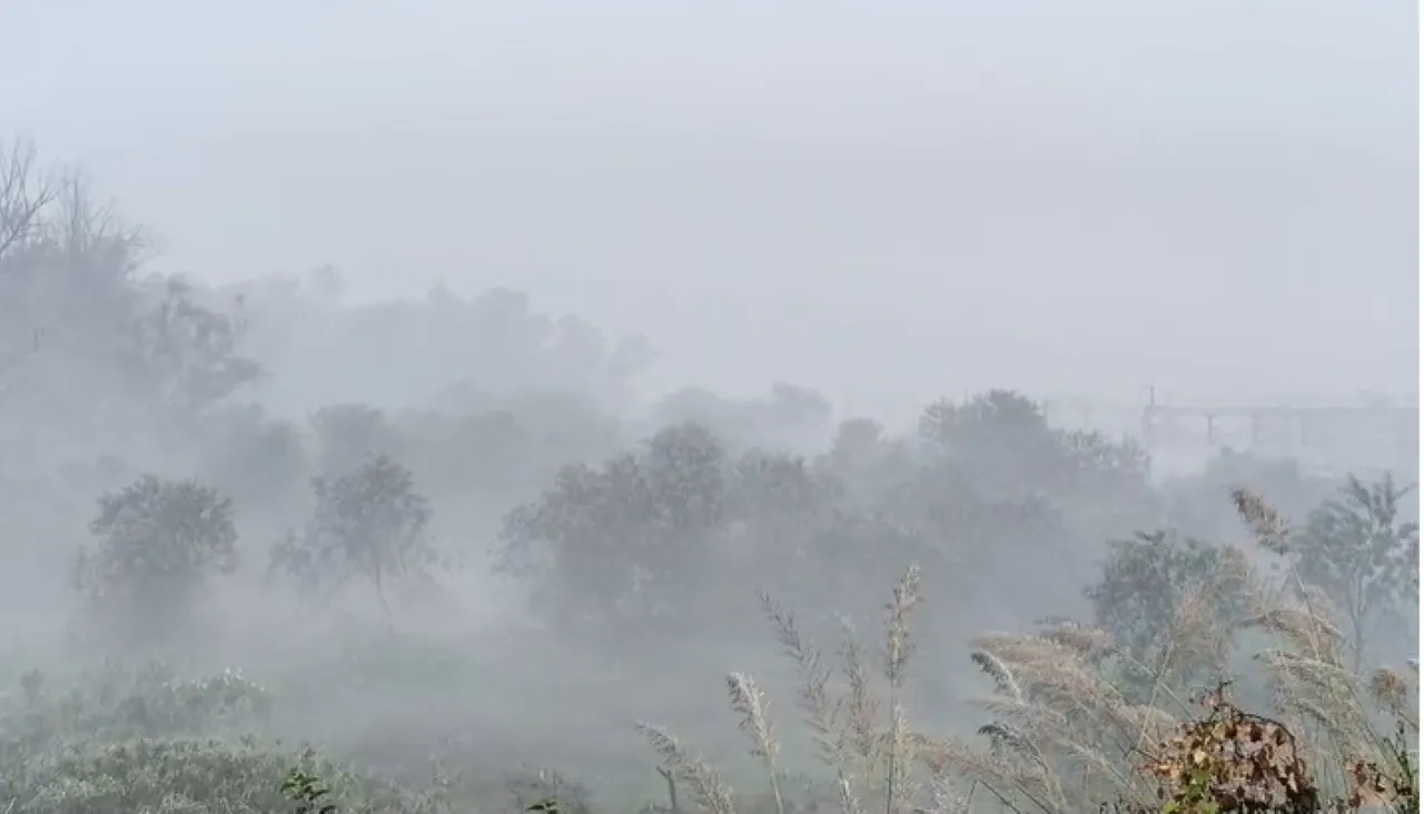 वाईबीएन